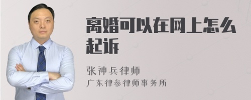 离婚可以在网上怎么起诉