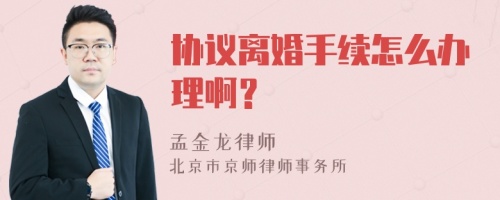 协议离婚手续怎么办理啊？