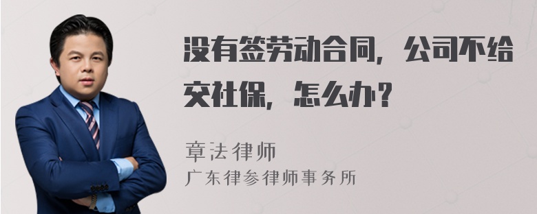 没有签劳动合同，公司不给交社保，怎么办？