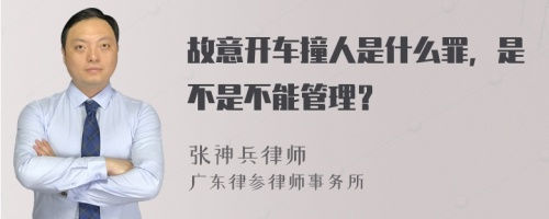 故意开车撞人是什么罪，是不是不能管理？