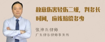 故意伤害轻伤二级，判多长时间，应该赔偿多少