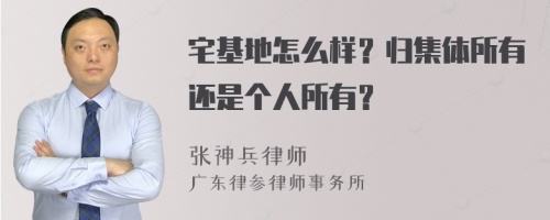 宅基地怎么样？归集体所有还是个人所有？