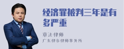 经济罪被判三年是有多严重