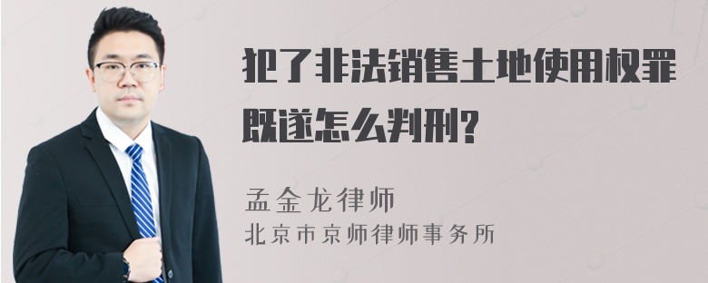 犯了非法销售土地使用权罪既遂怎么判刑?