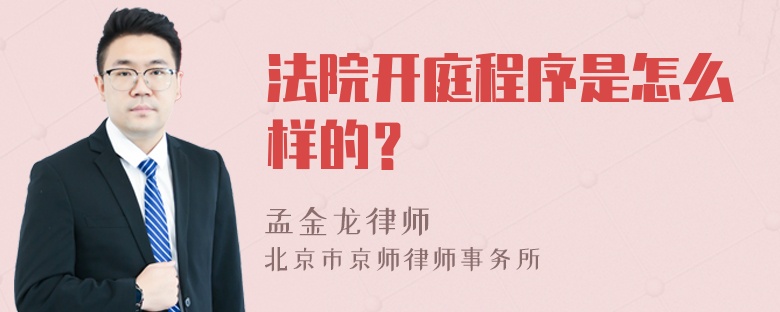 法院开庭程序是怎么样的？