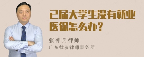 已届大学生没有就业医保怎么办？