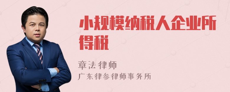 小规模纳税人企业所得税