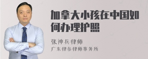 加拿大小孩在中国如何办理护照