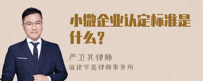 小微企业认定标准是什么？