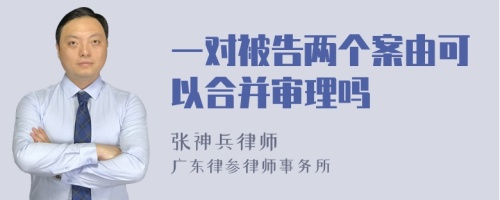 一对被告两个案由可以合并审理吗