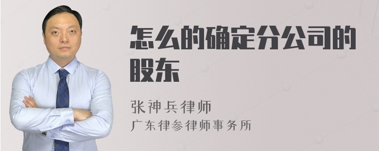 怎么的确定分公司的股东