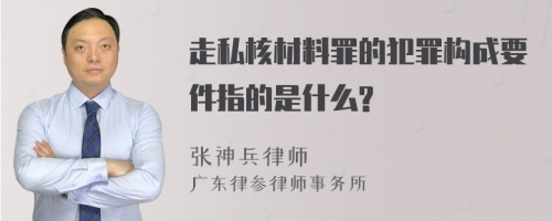 走私核材料罪的犯罪构成要件指的是什么?