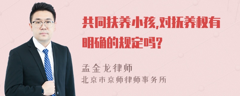 共同扶养小孩,对抚养权有明确的规定吗?