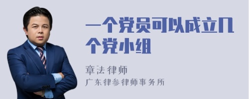 一个党员可以成立几个党小组