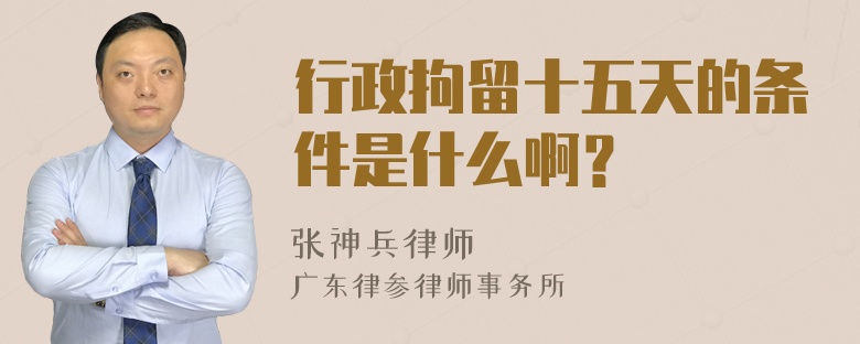 行政拘留十五天的条件是什么啊？