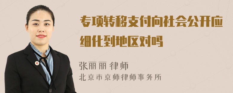 专项转移支付向社会公开应细化到地区对吗