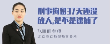 刑事拘留37天还没放人,是不是逮捕了