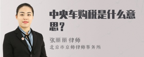 中央车购税是什么意思？