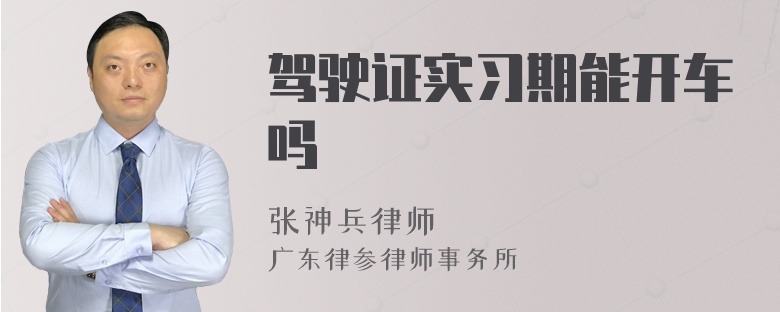 驾驶证实习期能开车吗