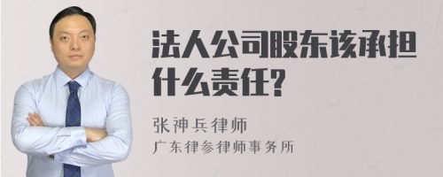 法人公司股东该承担什么责任?