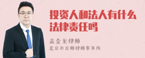 投资人和法人有什么法律责任吗