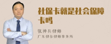 社保卡就是社会保障卡吗