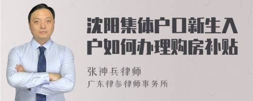 沈阳集体户口新生入户如何办理购房补贴