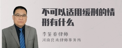 不可以适用缓刑的情形有什么