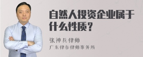 自然人投资企业属于什么性质？