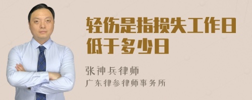 轻伤是指损失工作日低于多少日