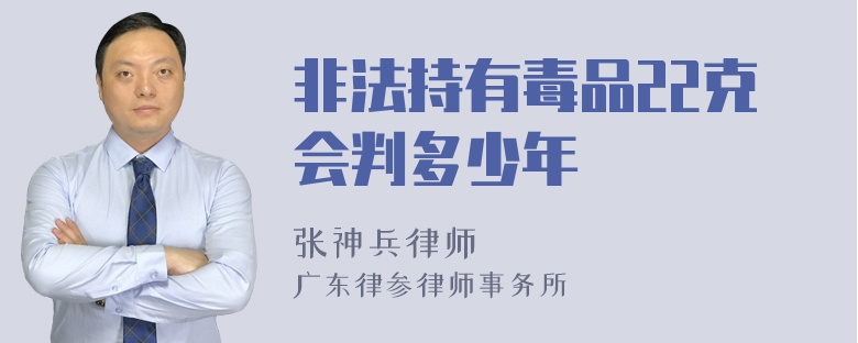 非法持有毒品22克会判多少年