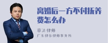 离婚后一方不付抚养费怎么办