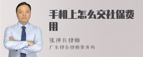 手机上怎么交社保费用