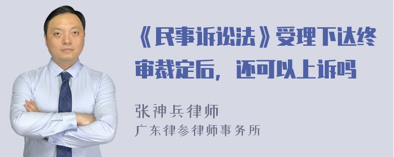 《民事诉讼法》受理下达终审裁定后，还可以上诉吗