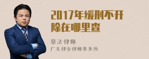 2017年缓刑不开除在哪里查