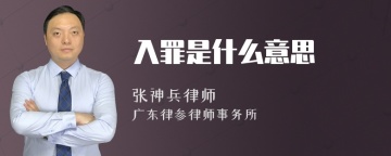 入罪是什么意思