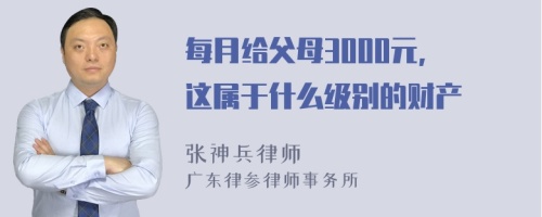 每月给父母3000元, 这属于什么级别的财产