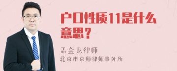 户口性质11是什么意思？