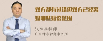 双方都有过错但双方已经离婚哪些赔偿范围