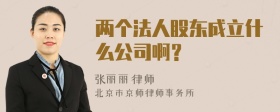 两个法人股东成立什么公司啊？