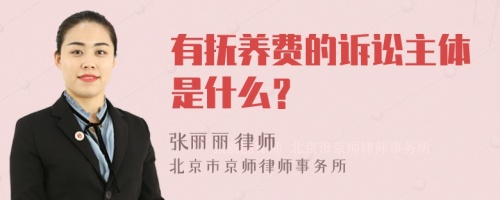 有抚养费的诉讼主体是什么？