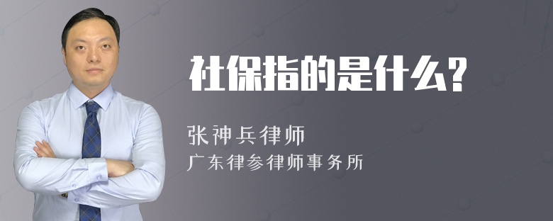 社保指的是什么?