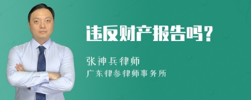 违反财产报告吗？