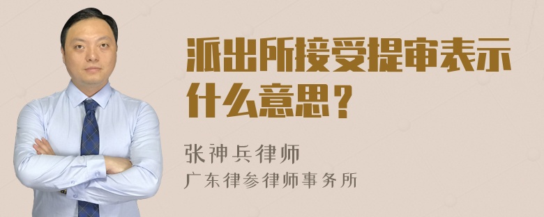 派出所接受提审表示什么意思？