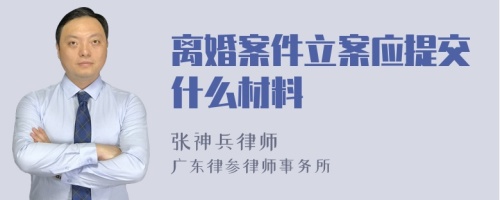 离婚案件立案应提交什么材料