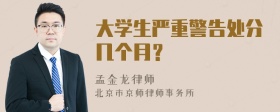 大学生严重警告处分几个月？