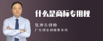 什么是商标专用权