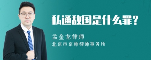 私通敌国是什么罪？