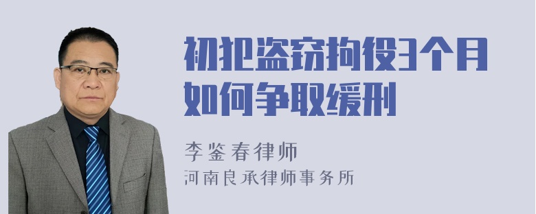 初犯盗窃拘役3个月如何争取缓刑