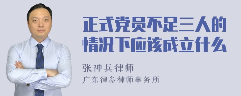 正式党员不足三人的情况下应该成立什么